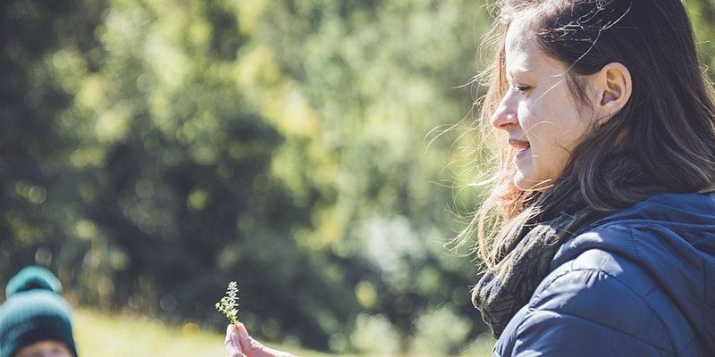 Spring Forage & Make - spring tonics