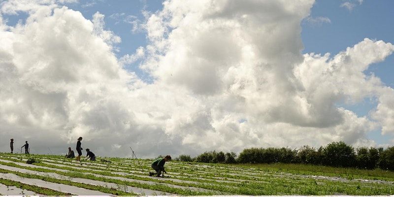 Spring Community Farmer Day