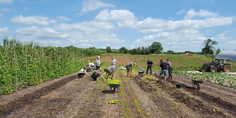 Spring Community Farmer Day