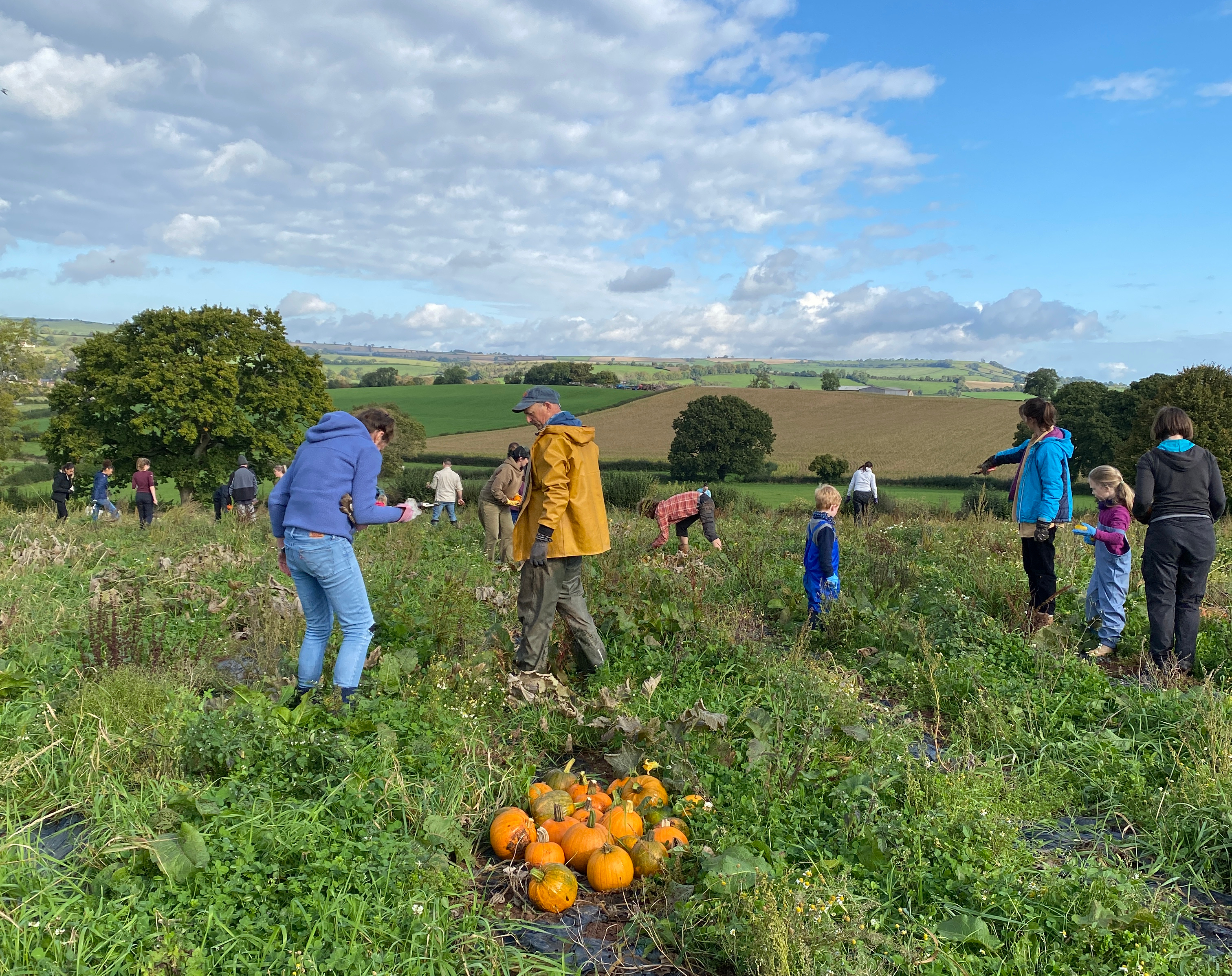 Community Farmer Day - Squash harvest