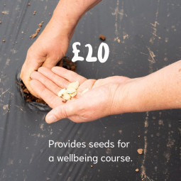 POSTED_20_donation_amount