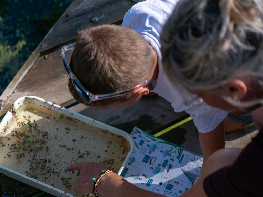 Family Nature Connection and Craft Morning