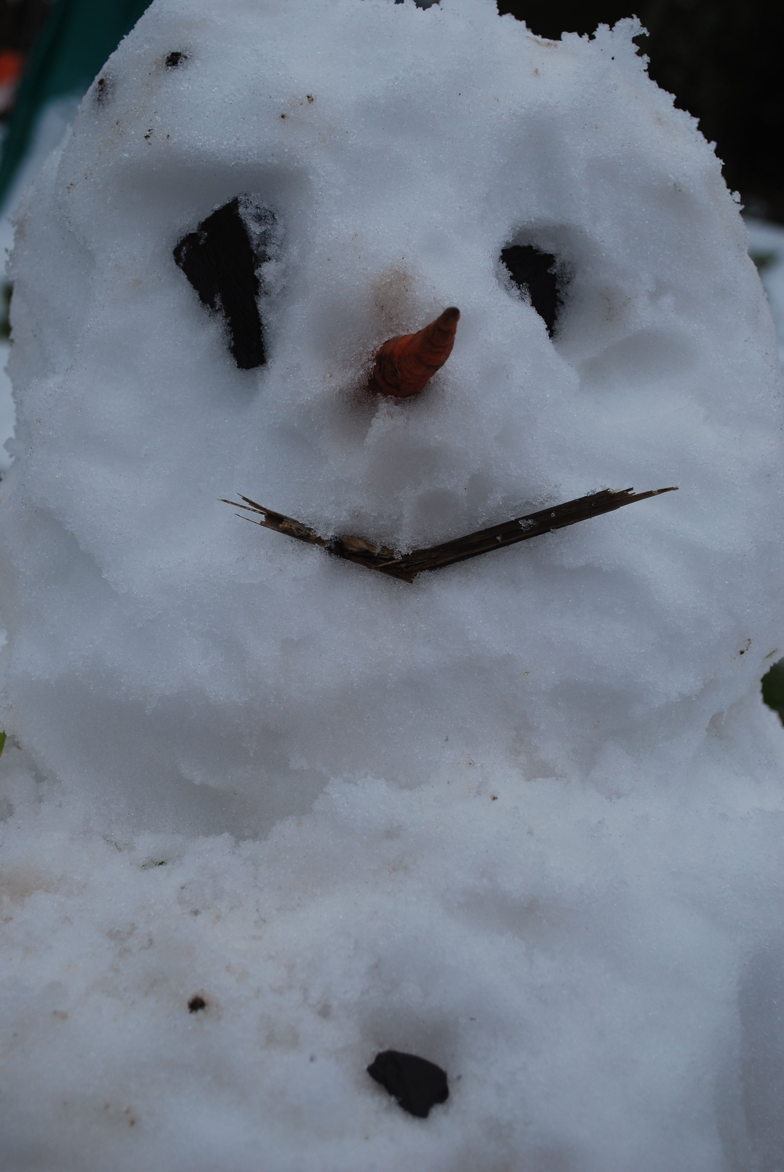 Christmas Deliveries