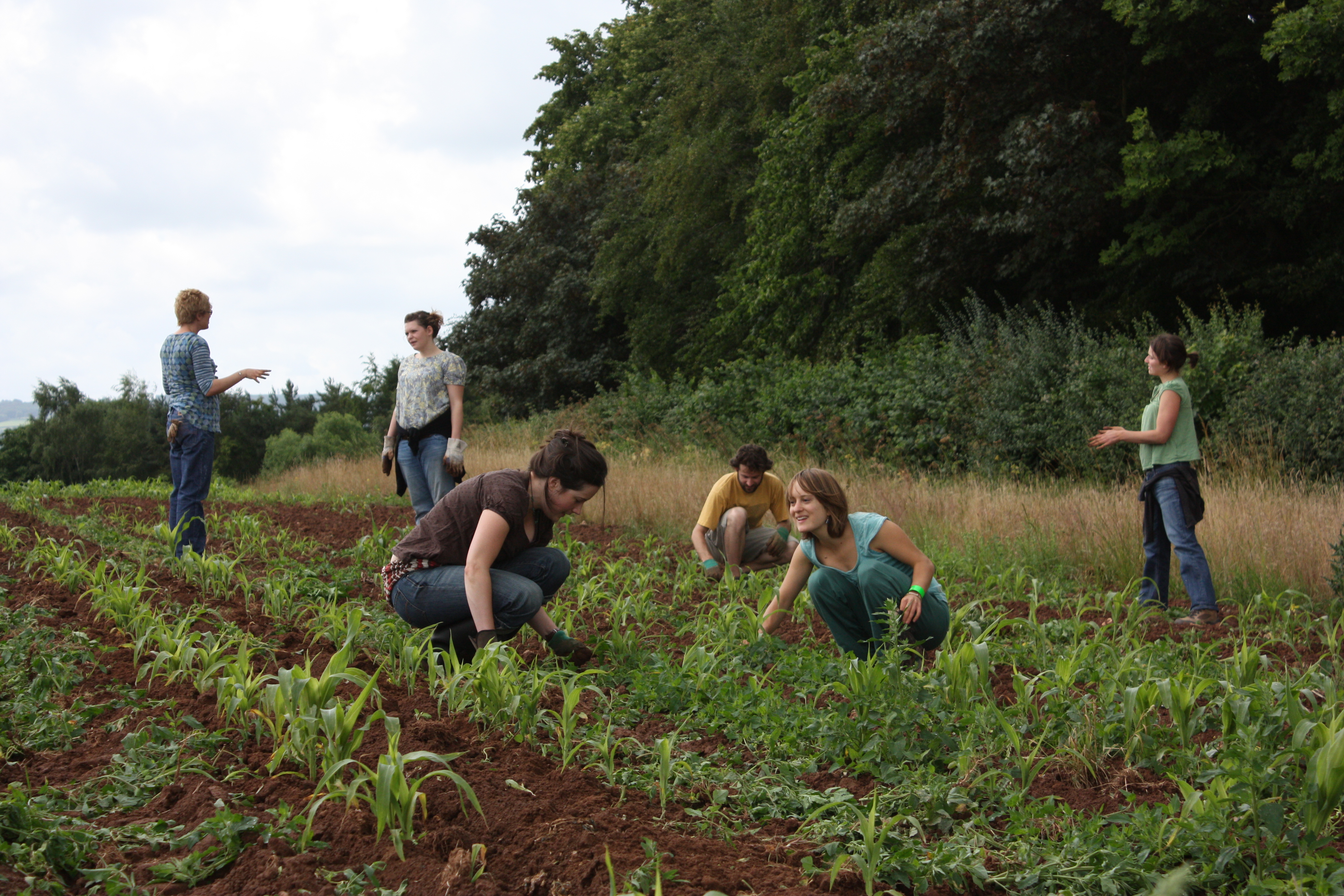 Self employed Book-keeper required