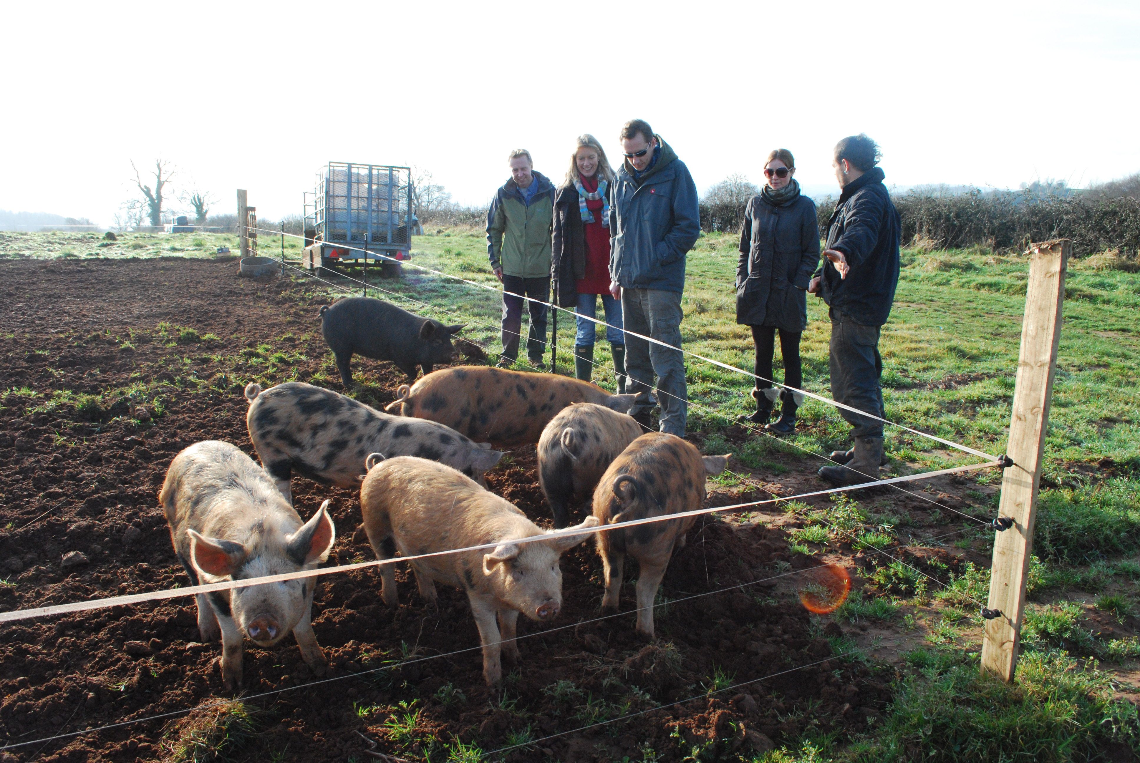 Today's visit - Ecotricity