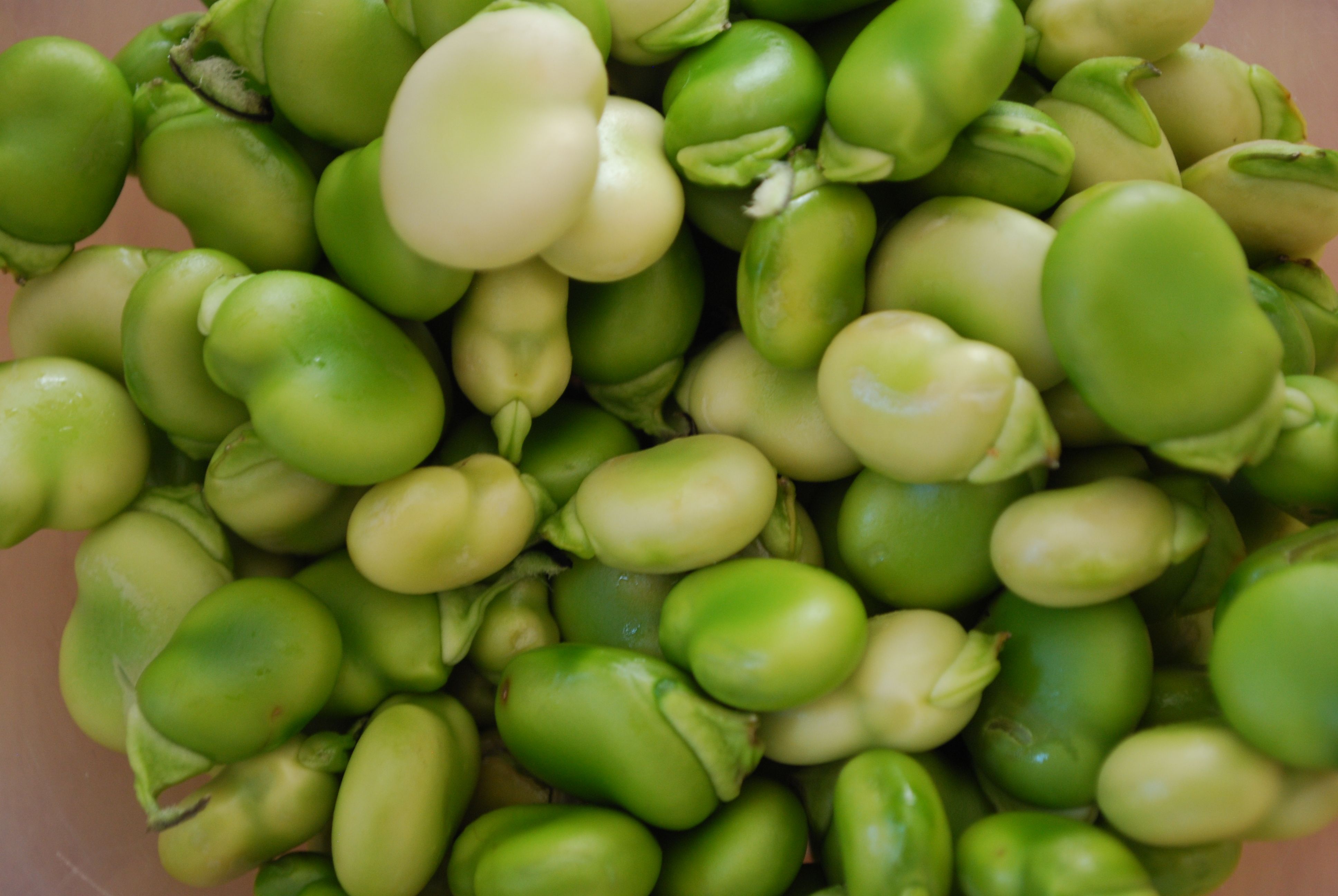 Our boxes and recipes this week - 22nd July 2013