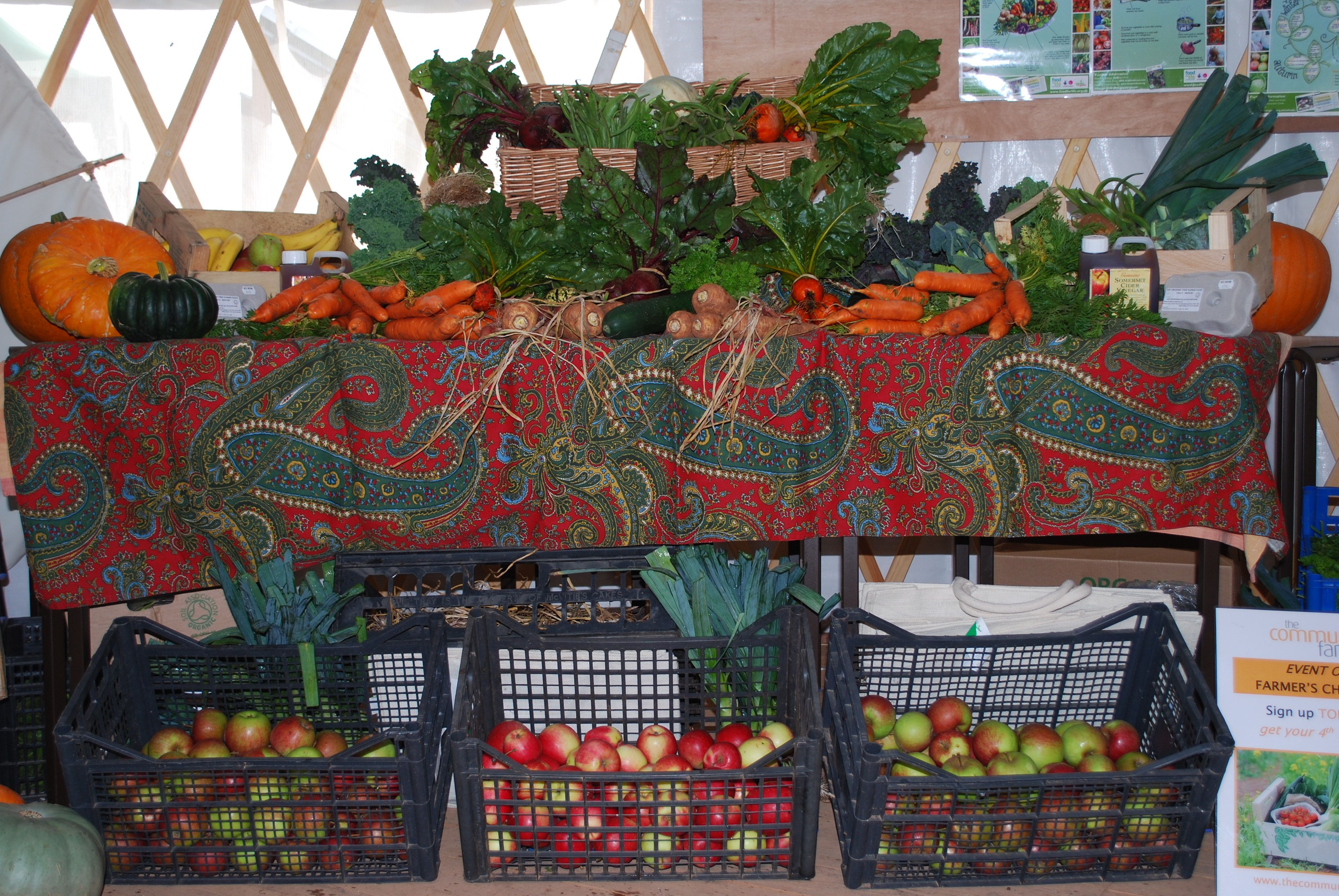 Cooking up a stir fry at the Harvest Celebration!