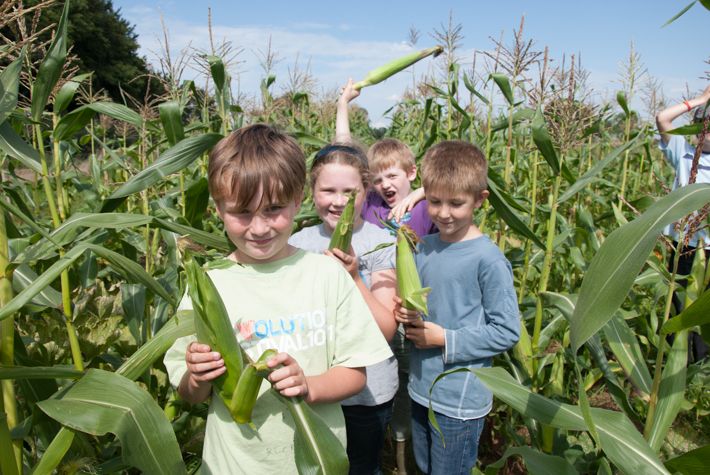 Village SOS Grant comes to an end: A reflection