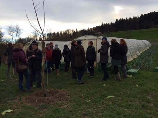 Supurbfood - Taking a look at similar projects in Zurich