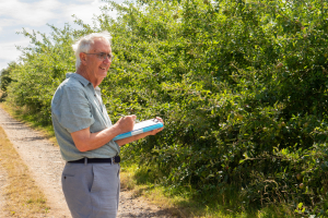 The bee and butterfly surveys continue!