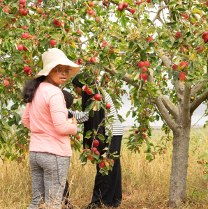 Kids came to The Farm with The Children's Kitchen and enjoyed harvesting our veg and cooking a fresh lunch