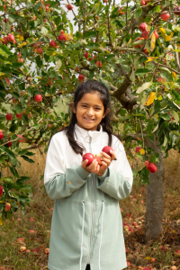Kids came to The Farm with The Children's Kitchen and enjoyed harvesting our veg and cooking a fresh lunch
