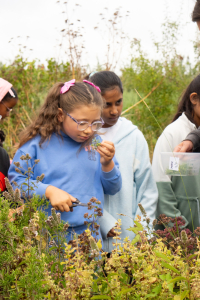 Kids came to The Farm with The Children's Kitchen and enjoyed harvesting our veg and cooking a fresh lunch