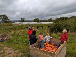 We had a great time harvesting our squash with members of our community