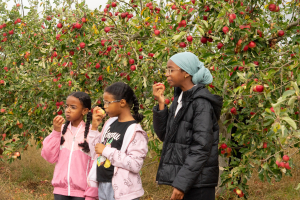 The Childrens Kitchen August 05