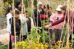 The Childrens Kitchen August 23
